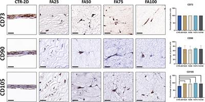 A novel 3D biofabrication strategy to improve cell proliferation and differentiation of human Wharton’s jelly mesenchymal stromal cells for cell therapy and tissue engineering